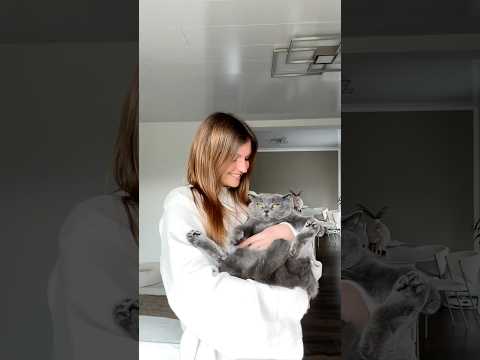 Happy birthday Simba 🖤✨ #catvideos #cat #cat #animals #cats