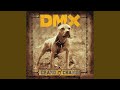 Dog Intro - DMX - Topic Dog Intro
