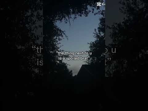 Not my cat😂😂😂￼