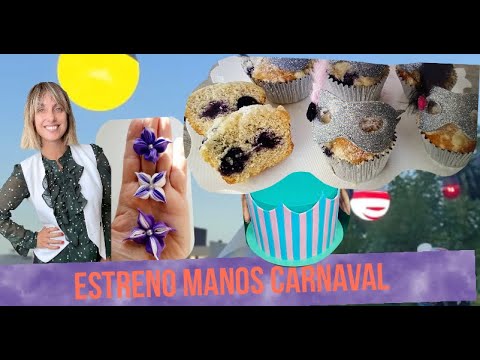 Manos a la Obra TV Deco Tortas - Cupcakes - Guirnaldas de luces - Filigrana en pasta americana
