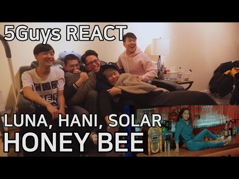 [FANBOYS REACT] 루나, 뭐, 솔라 루나, 하니, 솔라 - HONEY BEE (5Guys)