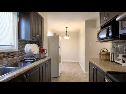 23 Enmount Drive Brampton Mir Ali