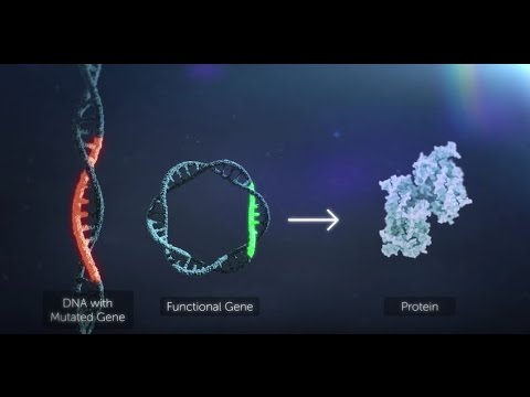 Gene Therapy Explained 