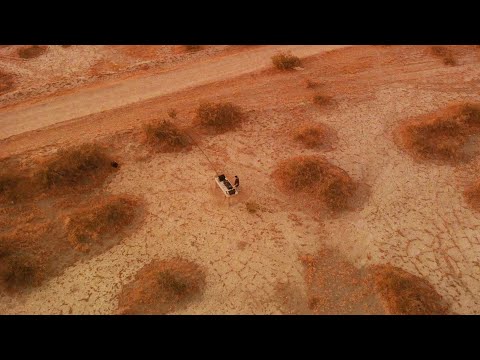 BOOMBOX CARTEL - LOLLAPALOOZA 2020 LIVESTREAM