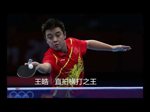 Wang Hao - No.1 Reverse Penhold Backhand(RPB) Highlights|Table tennis