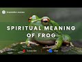Spiritual Meaning Of Frog Frog Spiritual Meaning
