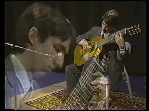 Promotional video thumbnail 2 for Seidenman's Guitar