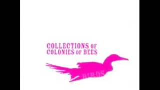 Collection of Colonies of Bees - Flocks IV