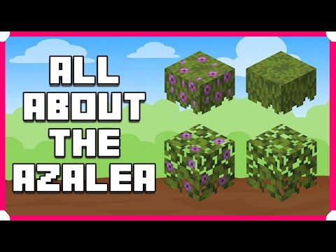 What Is The Azalea What Can It Do Minecraft Bedrock Edition Caves & Cliffs 1.17 #shorts