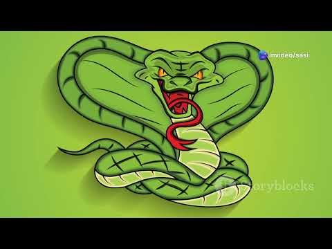 The Snake and the Ants A Tale of Unexpected Friendship