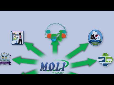 ინვეტ ჯგუფის და კომპანია MOLI-ის ერთობლივი პროექტი