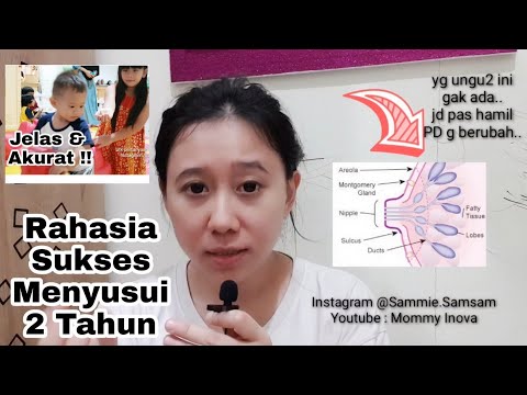 download lagu mp3 mp4 Tips Sukses Asi 2 Tahun, download lagu Tips Sukses Asi 2 Tahun gratis, unduh video klip Tips Sukses Asi 2 Tahun