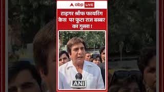 Raj Babbar on Tiger Shroff Firing : टाइगर श्रॉफ फायरिंग केस पर फूटा राज बब्बर का