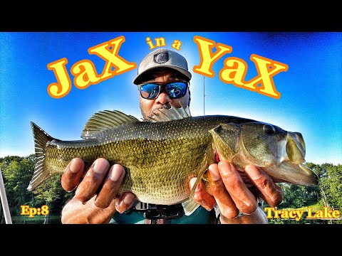 JaX in a Yak Ep:8🙌🏾 Tracy Lake #MrJaxnbefishing #Tracylake #Tullyny