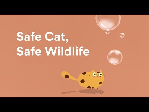 Safe Cat, Safe Wildlife