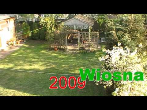 Ustka Pokoje gościnne "Przy Neptunie 2" - ogród