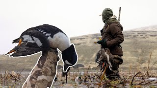 Diver Duck Hunt on the River (Catch Clean Cook!) | 3-Hour Duck Slam!
