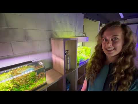 SO MANY SCAPES!! -  SR AQUARISTIK FULL TOUR