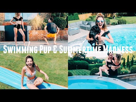 SWIMMING PUP & SUMMER MADNESS