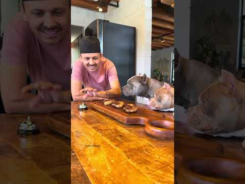 Picanha Temperada com Sal e Mel para meus American Bullys #receitaparacachorro 🐾🤩