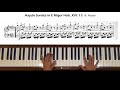 Haydn Sonata in E Major Hob. XVI: 13 (Finale: Presto) Piano Tutorial