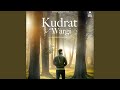 Kudrat Wargi