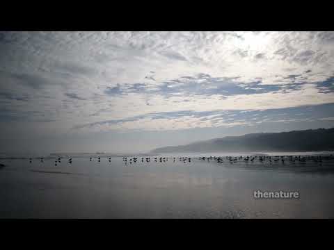 Playa Llico Vichuquén Maule Chile 7 