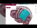 New Content Visible Body Anatomy Physiology 2018 Site License