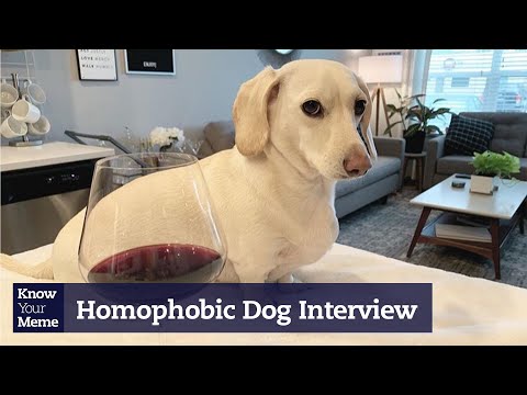 Homophobic Dog