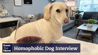 Is This Dog Homophobic