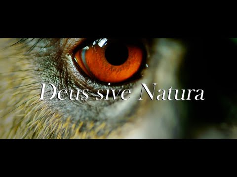 Deus sive Natura