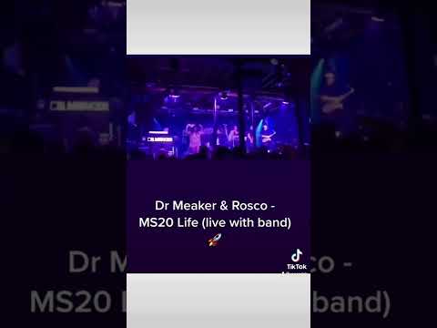 Dr meaker and Rosco Ms20 life live at the fleece Bristol 2022