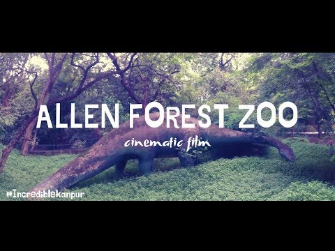 Allen Forest Zoo Cinematic Tour: