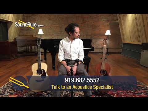 OOO Acoustic Guitar Comparison: Traditional (Martin) vs  Modern (Goodall) Quick n' Dirty