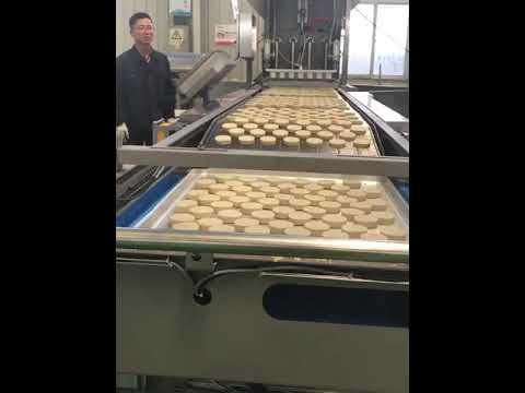 PACIFIC 600mm Automatic Shuttle Conveyor Transfer System video thumbnail