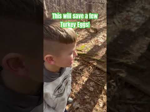 The Chipmunkinator - Multi-Catch Live Trap Works
