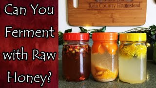 Can You Ferment with Raw Honey?