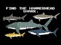 Find The Animals 2 Sharks Whales Primates More The Kids Picture Show Learning Video