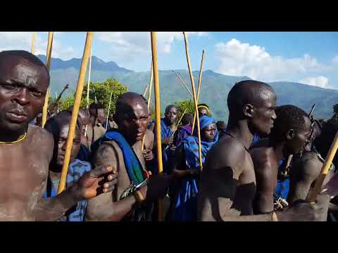donga stick fighting