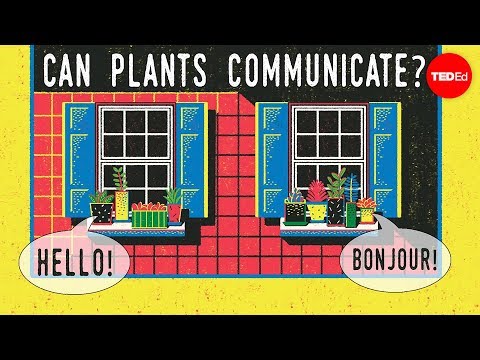 TED-ED】植物は語り合えるのか？- リチャード・カーバン (【TED-Ed】Can plants talk to each other? - Richard Karban)