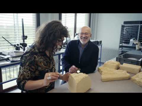 L'odyssée des chiffres (1/3): Les origines (2024)