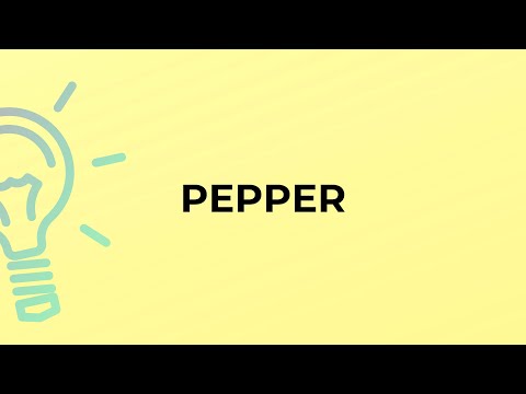 What is the meaning of the word PEPPER?