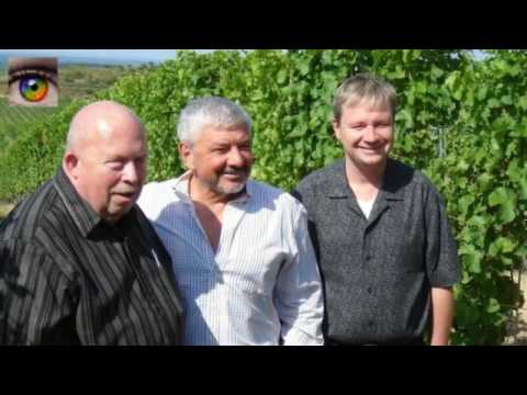 Mikulov Village  Tanzberg Winery Czech Republic