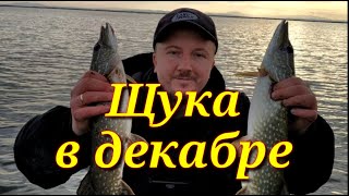 Ловля щуки в декабре на кубани