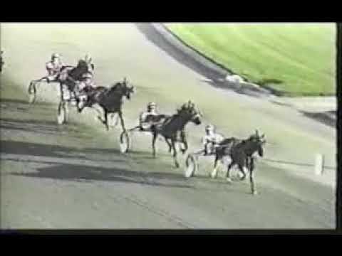 1994 Freehold Raceway VILLAGE JIFFY Paul MacDonell Breeders Crown Open Pace