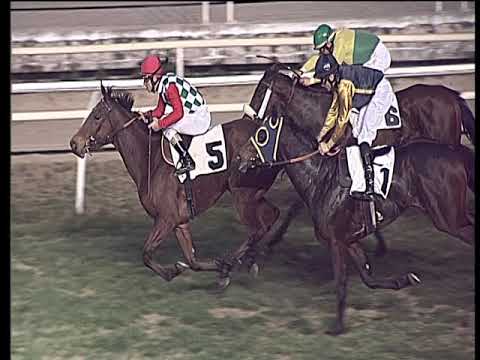 Galoppo 12/02/2019 - 6ª corsa - TRIS