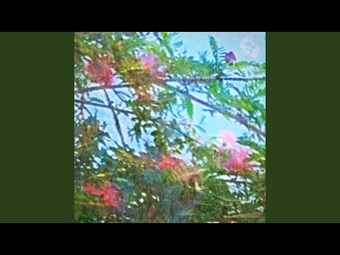 Love Hides All Faults