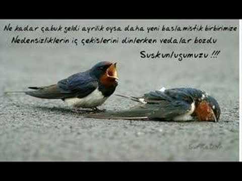 Dj Kral-Eskisi Gibi Sevsene