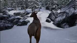 Видео 1 к игре WinterTide