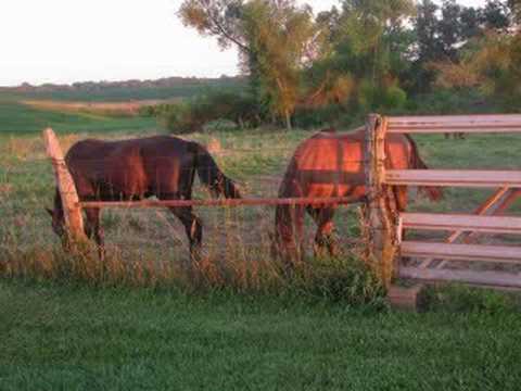 download lagu mp3 mp4 Mazzy Star Wild Horses, download lagu Mazzy Star Wild Horses gratis, unduh video klip Mazzy Star Wild Horses